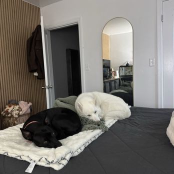 Marina Pet Hospital - Veterinarians Near Me - Marina, California Marina Pet Hospital - Veterinarians Near Me - Marina, California