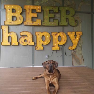 Crooked Hammock Brewery by null