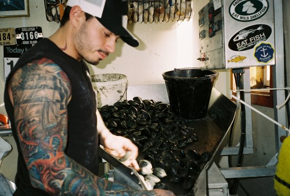 Andrade's Catch by null