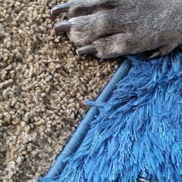 Sweetie's pedicure