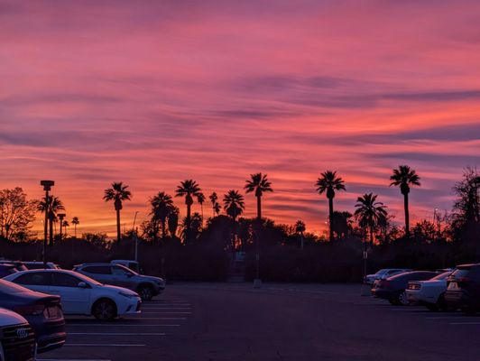 ASU Gammage by null