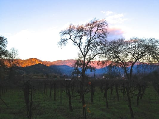 Joseph Cellars Winery by null
