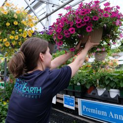 Good Earth Garden Market - Hanging Baskets