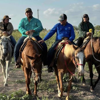 Texas Border Tours - Horseback Riding Near Me - Progreso Lakes, Texas Texas Border Tours - Horseback Riding Near Me - Progreso Lakes, Texas