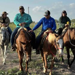 Texas Border Tours