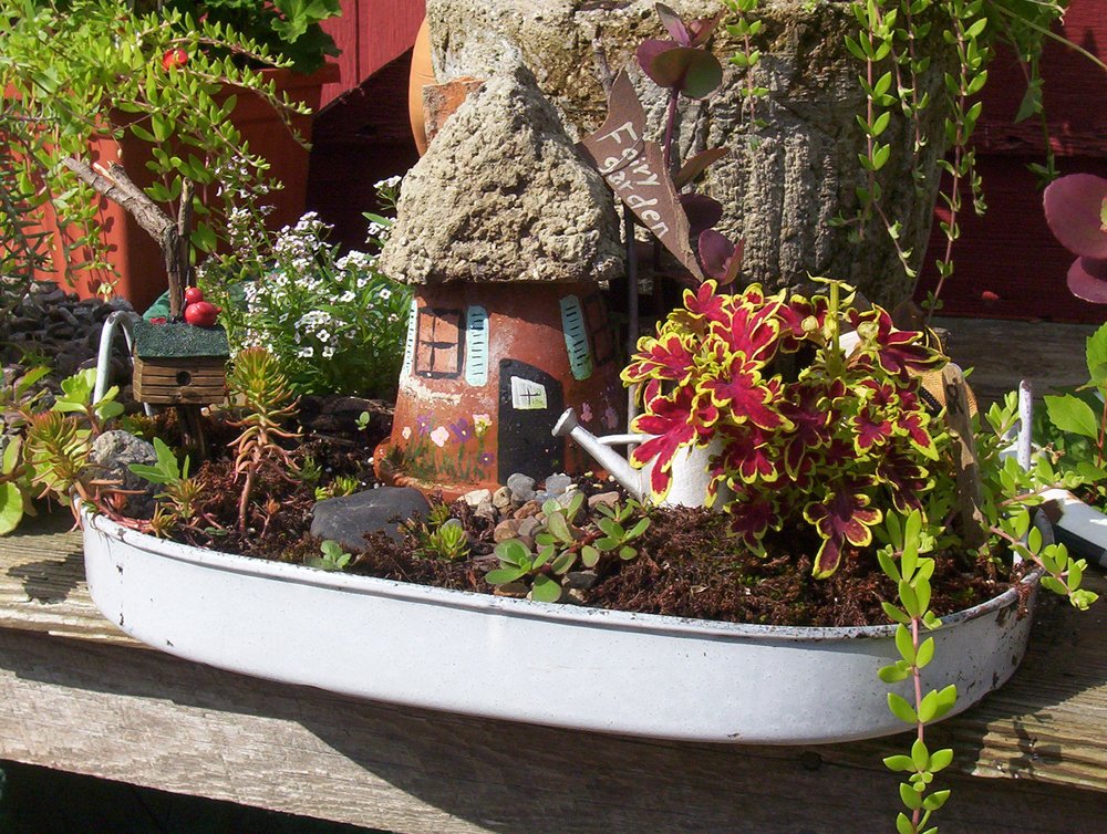 CHICKEN COOP ORIGINALS Updated September 2024 26 Photos 13245