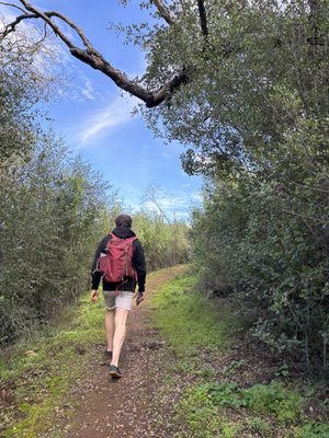 Peter Strauss Ranch by null