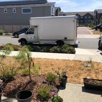 Grandmas Boy Moving - Movers Near Me - Seattle, Washington Grandmas Boy Moving - Movers Near Me - Seattle, Washington