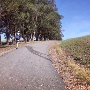 Fairmont Ridge Staging Area - Parks Near Me - Castro Valley, California Fairmont Ridge Staging Area - Parks Near Me - Castro Valley, California