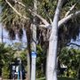 Photo of Kenwood Park