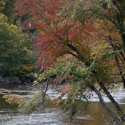 Speckled Trout RV Park - Camping Riverfront