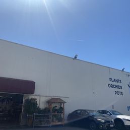 Exterior photo of Flora Clay - Los Angeles, California Exterior photo of Flora Clay - Los Angeles, California