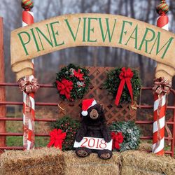 Pine View Farm
