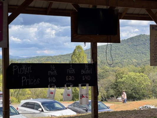 B.J. Reece Orchards by null