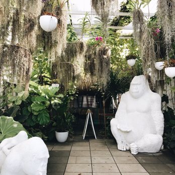 Plant The Future - Art Galleries Near Me - Miami, Florida Plant The Future - Art Galleries Near Me - Miami, Florida