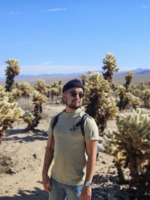 SUN OF THE DESERT by null