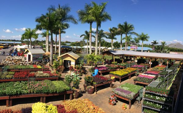 FLAMINGO ROAD NURSERY - Updated January 2025 - 1625 Photos & 360