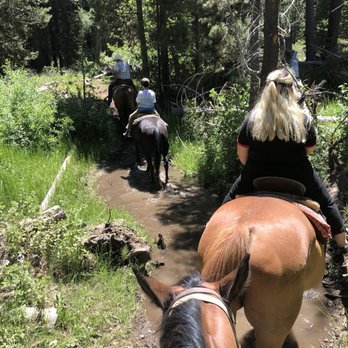 Alpine Meadows Stables - Horseback Riding Near Me - Tahoe City, California