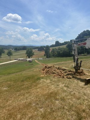 Sneaky Leak Plumbing Logo