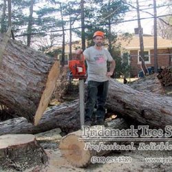 Pridemark Tree Services