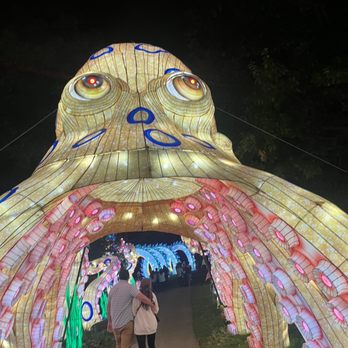 China Lights Wisconsin - Festivals Near Me - Hales Corners, Wisconsin China Lights Wisconsin - Festivals Near Me - Hales Corners, Wisconsin