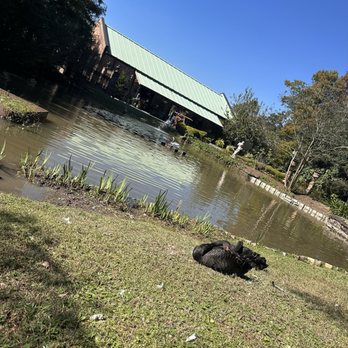 Houmas House and Gardens - Venues & Event Spaces Near Me - Darrow, Louisiana