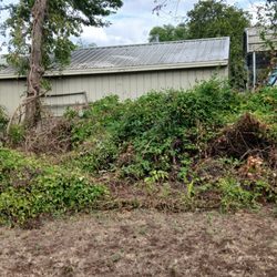 Empire District Electric Company - They trimmed only 1 side of the tree, now its threatening to fall on the neighbors garage