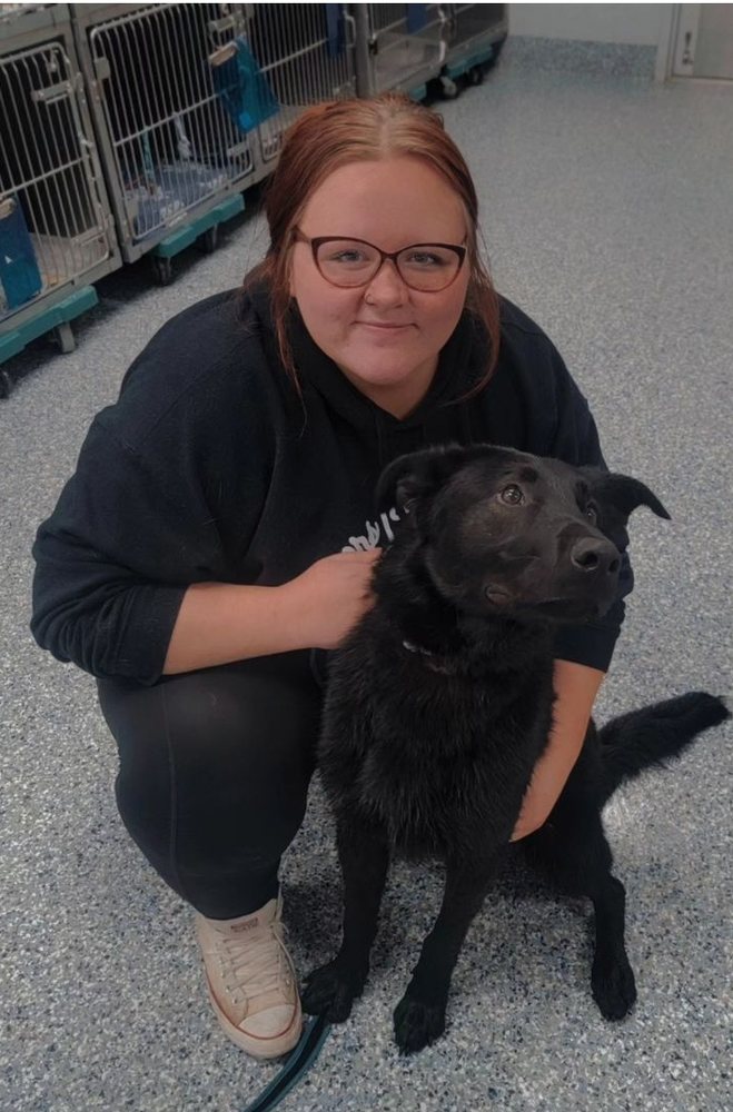 Pawfection Pet Care - pet boarding facility in Auburn, IN