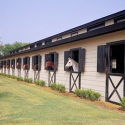 Crowterre Equestrian - 45 airy stalls with fans.