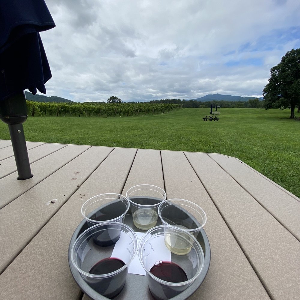 a tray of wine glasses on a picnic table