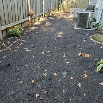 Royal Standard - the back yard of a home - Landscaping Near Me - Indianapolis, Indiana