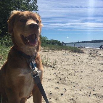 Mackworth Island Trail - Hiking Near Me - Falmouth, Maine
