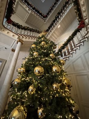 Hotel Dukes' Palace by null