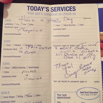 PetSmart - Report card from Sophia's grooming - Pet Training Near Me - Tampa, Florida PetSmart - Report card from Sophia's grooming - Pet Training Near Me - Tampa, Florida