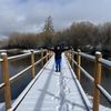 Big Bear gift card