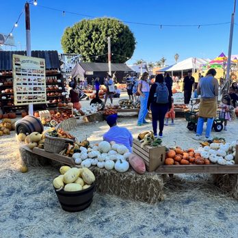 Shawn's Pumpkin Patch - Pumpkin Patches Near Me - Culver City , California