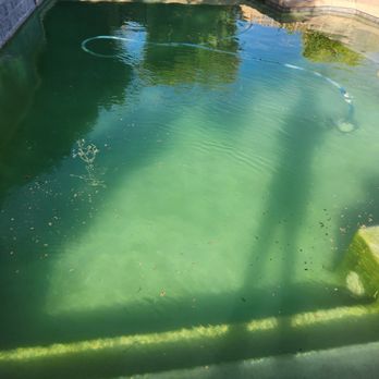 Brightwater Your Pool Service - Pool Cleaners Near Me Brightwater Your Pool Service - Pool Cleaners Near Me