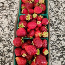 Saeng's Strawberry Stand - 3lbs for $14 (June 2025)... the 4lb ones were $17