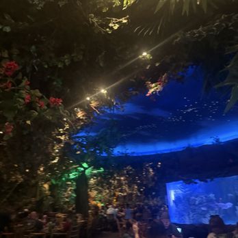 Rainforest Cafe - American Near Me - Grapevine, Texas