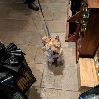 Fermented Grapes - a small dog on a leash - Beer, Wine & Spirits Near Me - Brooklyn, New York