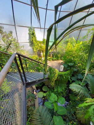 Botanical Garden by null