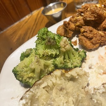 Outback Steakhouse - Rotten broccoli. - Steakhouses Near Me - Winter Park, Florida Outback Steakhouse - Rotten broccoli. - Steakhouses Near Me - Winter Park, Florida