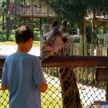 Brevard Zoo - Gimme a carrot or else I'll slime you! - Zoos Near Me - Melbourne, Florida