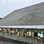 Photo of South Bristol Fisherman's Co-Op