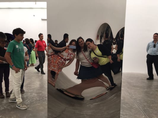 University Museum of Contemporary Art by null