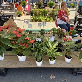 Poway Farmers Market - Farmers Market Near Me - Poway, California Poway Farmers Market - Farmers Market Near Me - Poway, California