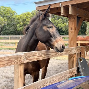 REDSTONE RANCH - Updated March 2026 - 38 Photos - 4551 NW 39th Ave ...