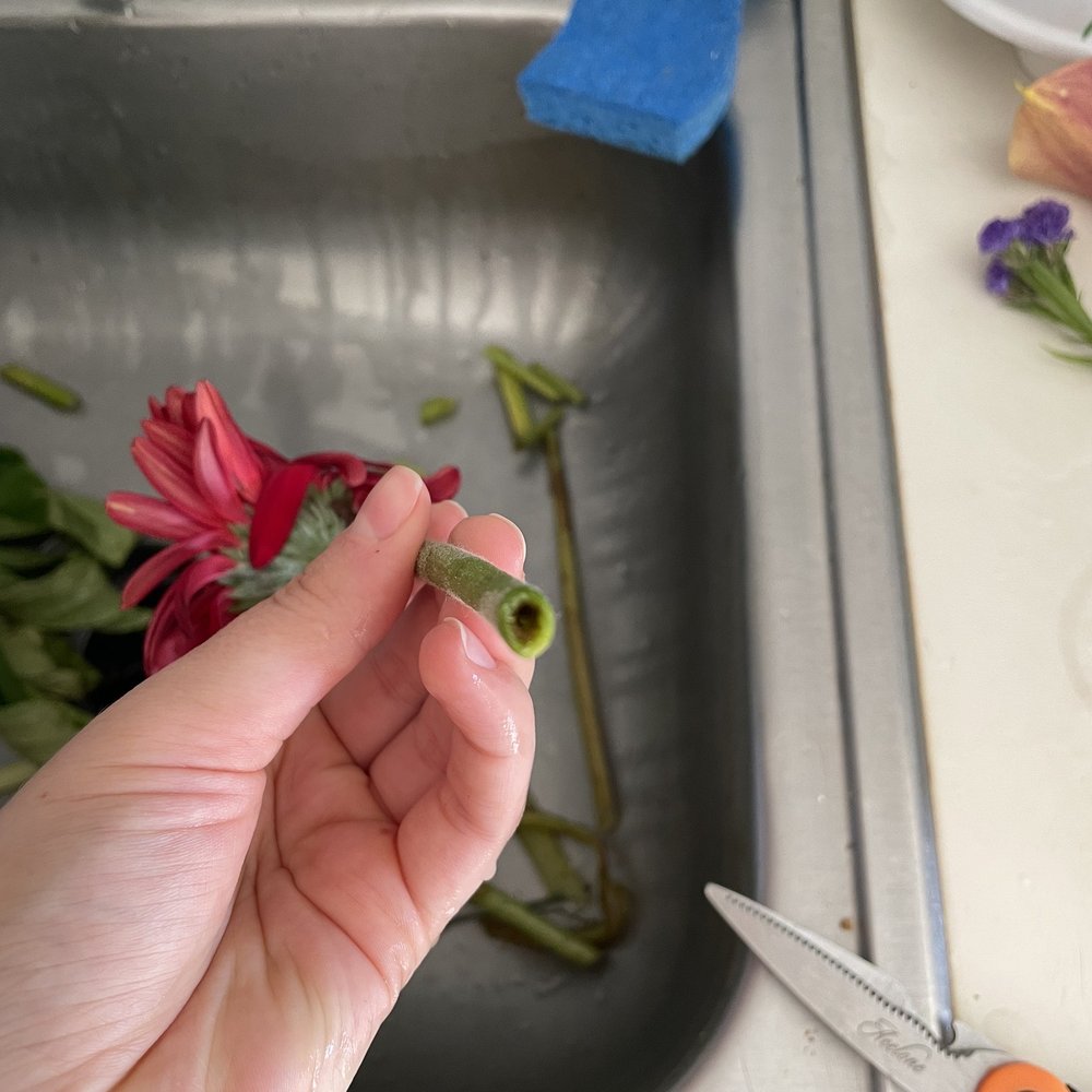 Seattle Flowers - Black inside stem - Florists Near Me - Seattle, Washington