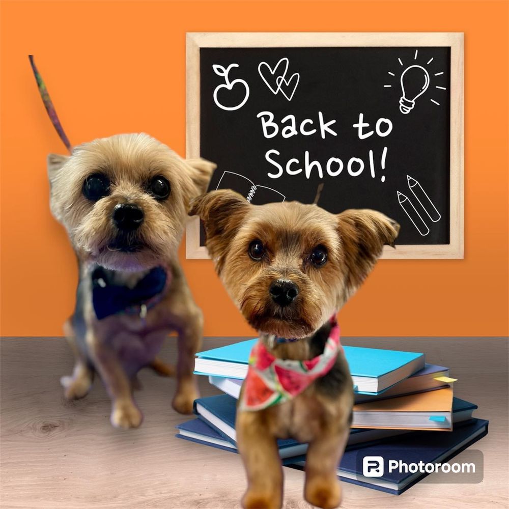 Barkmore Inn and Salon - pet boarding facility in Lenoir City, TN