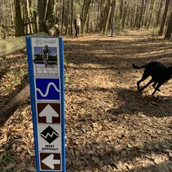 J. R. Alford Greenway